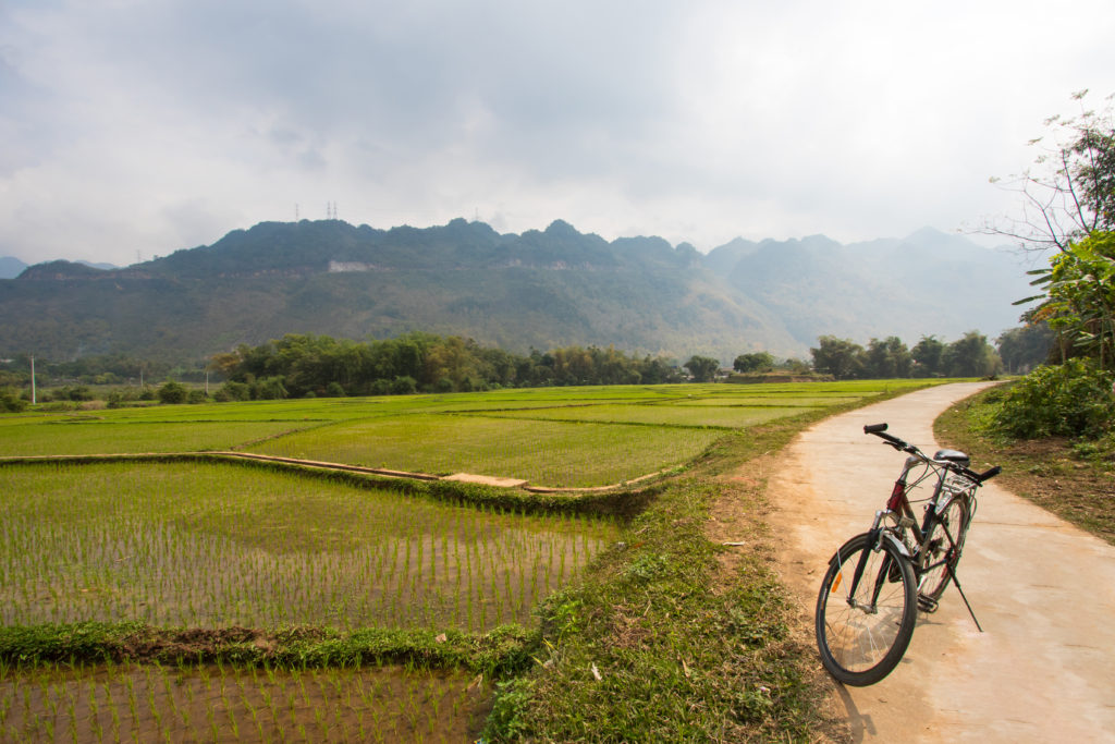 Bicycle Through Vietnam Rice Fields