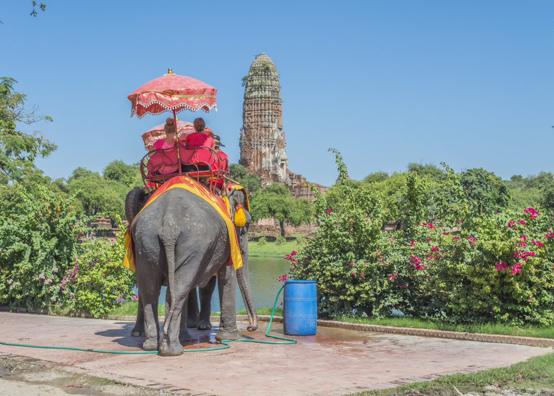 Bangkok Elephant Rides